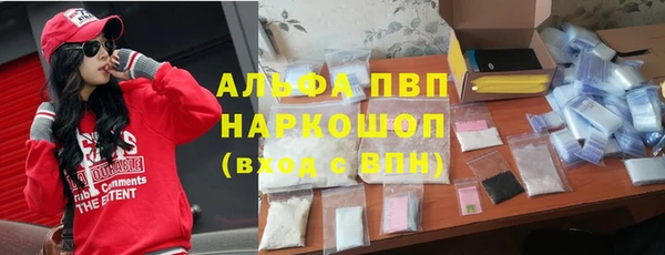 шишки Аркадак