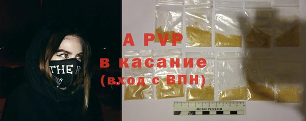 шишки Аркадак