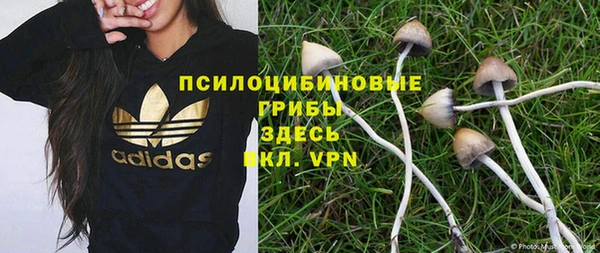 не бодяженный Армянск
