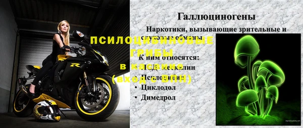 дживик Семилуки