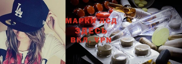 шишки Аркадак