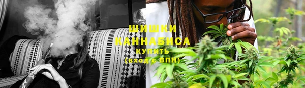 шишки Аркадак